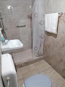 y baño con ducha, aseo y lavamanos. en Very good location en Hunedoara