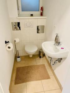 La salle de bains est pourvue de toilettes et d'un lavabo. dans l'établissement Wohnen am Remlerweg-FeelLikeHome, à Mühldorf bei Feldbach
