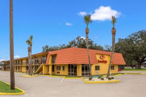 a hotel with palm trees in a parking lot at Econo Lodge in Live Oak