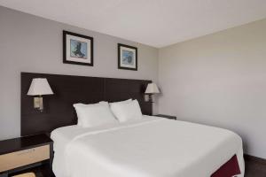 Postel nebo postele na pokoji v ubytování Quality Inn