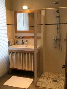 a bathroom with a sink and a shower at Maison Burgalat in Saint-Mamet