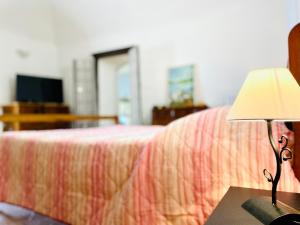TV a/nebo společenská místnost v ubytování BORGO CAMILLO