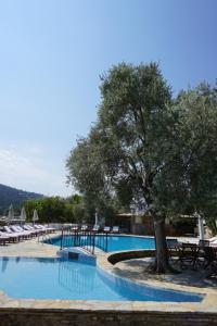 a swimming pool with a tree and lounge chairs at Omar Hotel & Suites in Torba