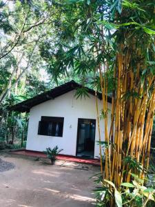a white building with a black door and some trees at CINNAMON LAKE VILLA in Habaraduwa