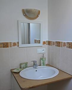 ein Badezimmer mit einem weißen Waschbecken und einem Spiegel in der Unterkunft la charbonniere in Florac Trois Riviere
