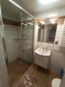 a bathroom with a shower and a sink at Pokoje Gościnne "Adam" in Ustroń