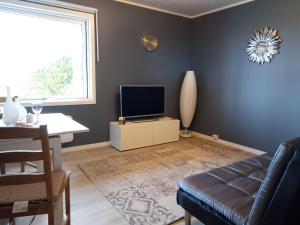 a living room with a couch and a tv at Adorable 1-bedroom apartment with a fantastic view - Free Parking in Trondheim