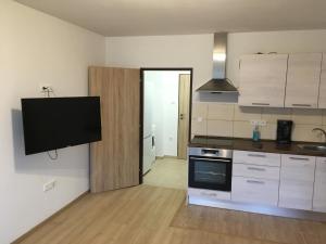 Kuchyň nebo kuchyňský kout v ubytování Apartmány U Pařezáče