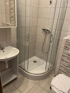Koupelna v ubytování Hołcyna 21 + 11 fotografií