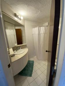 La salle de bains est pourvue d'un lavabo et d'une douche. dans l'établissement Excelente y práctico, à Punta del Este