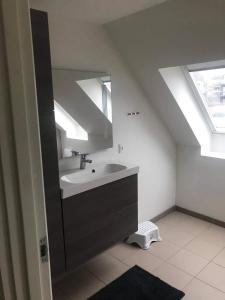 een badkamer met een wastafel en een spiegel bij Søkig in Viborg