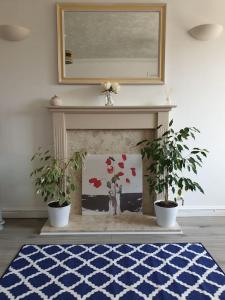 a living room with two potted plants and a fireplace at Nelson Heights - Perfect seaside retreat, Cromer in Cromer