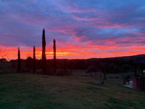 una puesta de sol con tres palmeras en un campo en Bio Agriturismo La Bell'Antiglia, en Montemerano