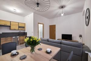 Kuchyňa alebo kuchynka v ubytovaní Apartamenty u Bratków