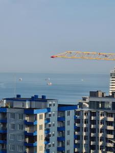 Kraštovaizdis prie apartamentų
