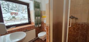 a bathroom with a toilet and a sink and a window at Pension Vinkl in Harrachov +47 photos