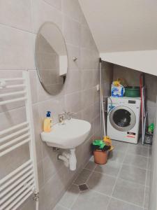 a bathroom with a sink and a washing machine at Villa Tangra in Grashtitsa