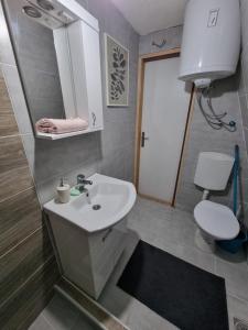 Bagno di AA Pine vikendica za izdavanje u srcu Zapadne Srbije