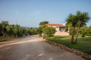 une route menant à une maison plantée de palmiers dans l'établissement Lagouvardos Apartments, à Marathopolis