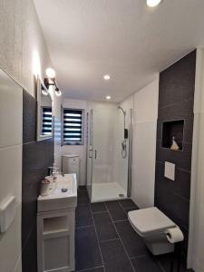 a bathroom with a toilet and a sink and a shower at Altstadt-Apartment & FeWo OG für max 3 Pers in Haldensleben