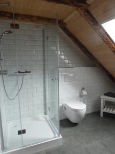 a bathroom with a glass shower and a toilet at Ferienwohnung Gulf im Gulfhof am Kanal in Großefehn 