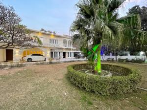 a palm tree in front of a house at The Life Style Lodges opp Centaurus Mall in Islamabad