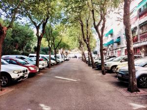 a row of cars parked on a street with trees at Acogedora Habitación en Madrid in Madrid