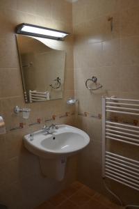 y baño con lavabo y espejo. en Hotel Perla, en Gorna Oryakhovitsa