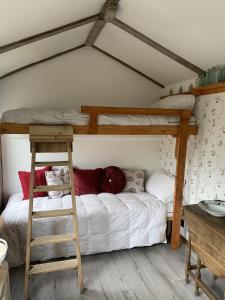 a bedroom with a bunk bed with a ladder at Truly Kentish Holiday Lets in Kent