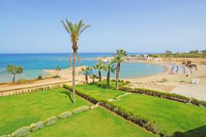 an aerial view of a beach with a palm tree at Villa Alyson in Paralimni