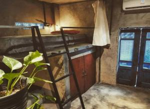 Zimmer mit Etagenbett und Tür mit Pflanze in der Unterkunft Sela Stay in Yogyakarta