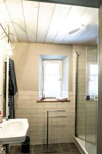 uma casa de banho com um lavatório, um chuveiro e uma janela. em Säntisblick em Oberstaufen