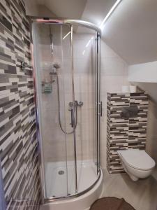 łazienka z prysznicem i toaletą w obiekcie Willa Orle Gniazdo w mieście Biały Kościół