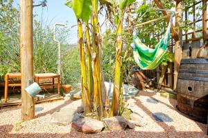 Photo de la galerie de l'établissement Le Deck'Halage, à Malestroit