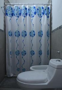y baño con aseo y cortina de ducha. en Cholito 2 en Alta Gracia