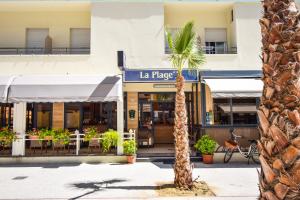 una palmera frente a una tienda en Hotel La Plage, en Cattolica