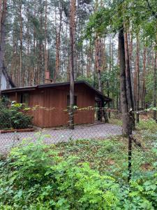 a house in the middle of a forest at Przytulny domek w lesie blisko rzeki in Ryczywół