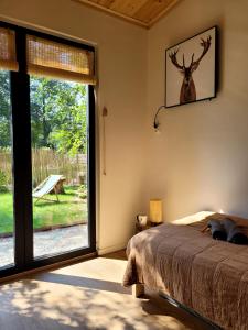 1 dormitorio con 1 cama y una ventana con un ciervo en la pared en Domek nad Zegrzem, en Arciechow