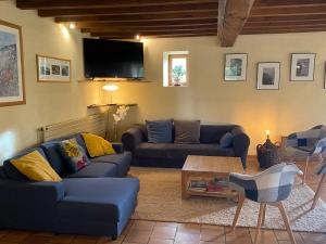 sala de estar con 2 sofás y TV en Spacious country house in Normandie, en Moulins-le-Carbonnel