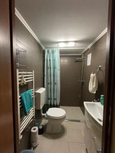 a bathroom with a toilet and a sink and a shower at Cozy central apartment in Cluj Napoca in Cluj-Napoca