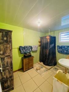 a green bathroom with a shower and a sink at Case Vi d' o' in Le Tampon