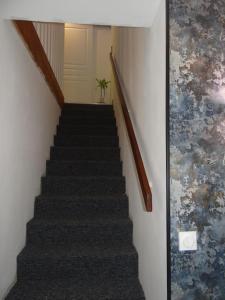 Un escalier dans une maison avec une usine. dans l'établissement Cosy Loft - Appartement de charme, à Marsannay-la-Côte