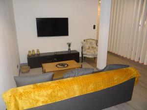 TV a/nebo společenská místnost v ubytování Cosy Loft - Appartement de charme