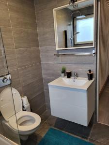 Koupelna v ubytování Cosy Loft - Appartement de charme
