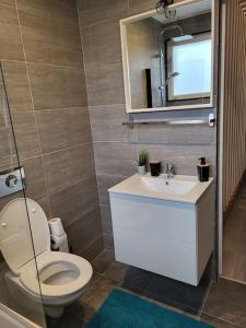 a bathroom with a toilet and a sink and a mirror at Cosy Loft - Appartement de charme in Marsannay-la-Côte