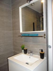 a bathroom with a white sink and a mirror at Cosy Loft - Appartement de charme in Marsannay-la-Côte