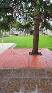 a tree on a brick sidewalk next to a tree at Casa Quinta La Gualeya in Gualeguay