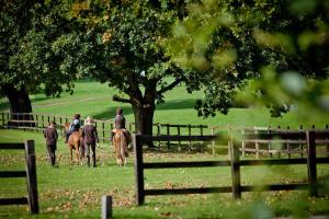 a group of people riding horses in a field at Coworth Park - Dorchester Collection in Ascot
