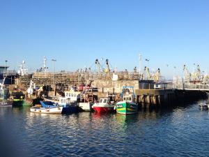 a group of boats are docked in a harbor at Beecroft Lodge in Paignton