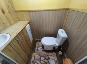 カラコルにあるKarakol Yurt Lodgeのトイレと洗面台のある小さなバスルーム +22枚の写真